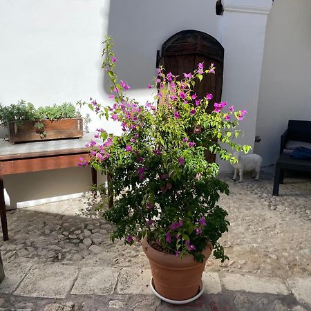 Piazzetta Del Forno Appartamento Асерджи Екстериор снимка